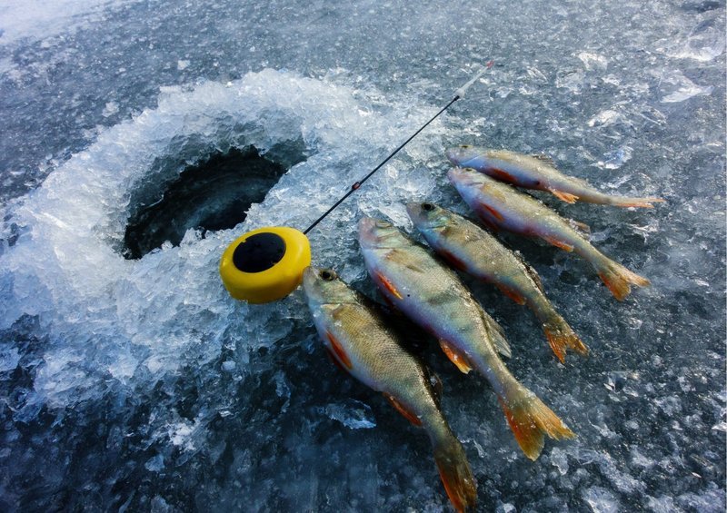 Germany - ice fishing live
